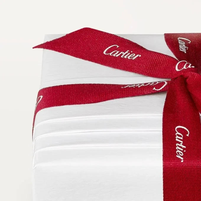 Cartier Libre Tuttitutti-broche