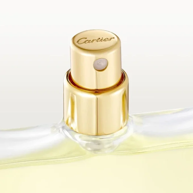 Eau De Toilette Refill Pack – Declaration | Cartier Eau De Toilette Refill Pack – Declaration | Cartier