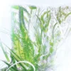 Geranium parfume-refill – Rivieres De Cartier | Cartier Geranium parfume-refill – Rivieres De Cartier | Cartier
