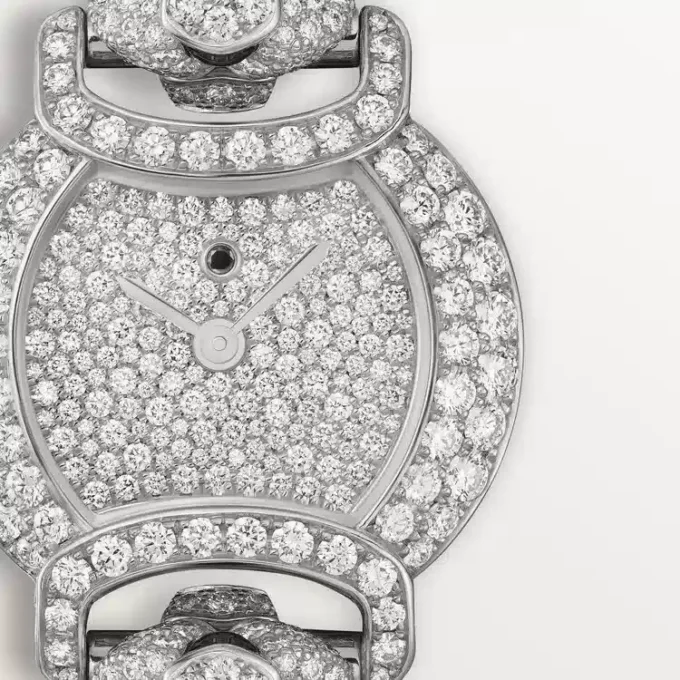 La Panthere De Cartier-ur La Panthere De Cartier-ur