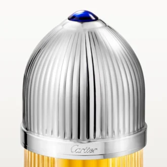 pasha de cartier 2 330x330 - Pasha De Cartier