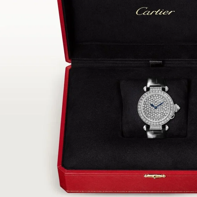 Pasha De Cartier-ur Pasha De Cartier-ur