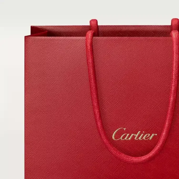 Pasha De Cartier Pasha De Cartier