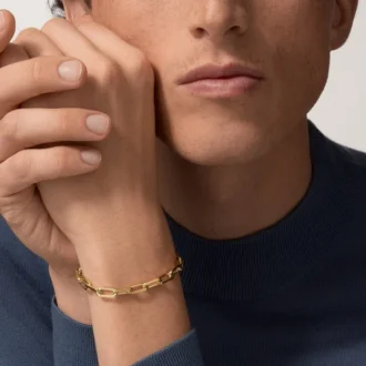 Santos De Cartier armbånd, kæde, mellemstor model Santos De Cartier armbånd, kæde, mellemstor model