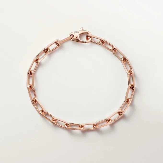 Santos De Cartier armbånd, kæde, mellemstor model Santos De Cartier armbånd, kæde, mellemstor model